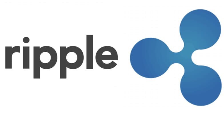 ripple team and founders biography
